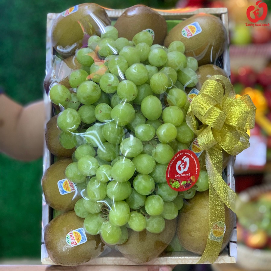 Hộp quà TC 07
